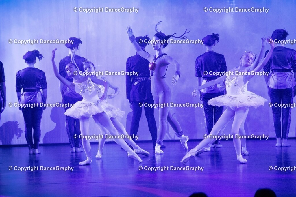 GPHY1725 | DanceGraphy - Realisiert mit Pictrs.com