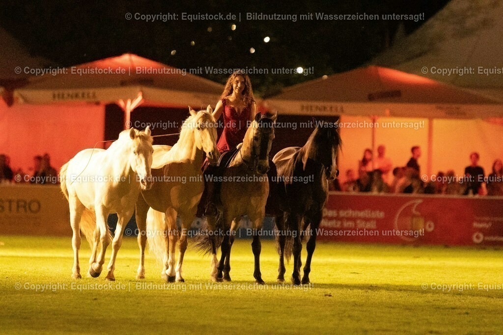 20230526_Pferdenacht_1524 | equistock