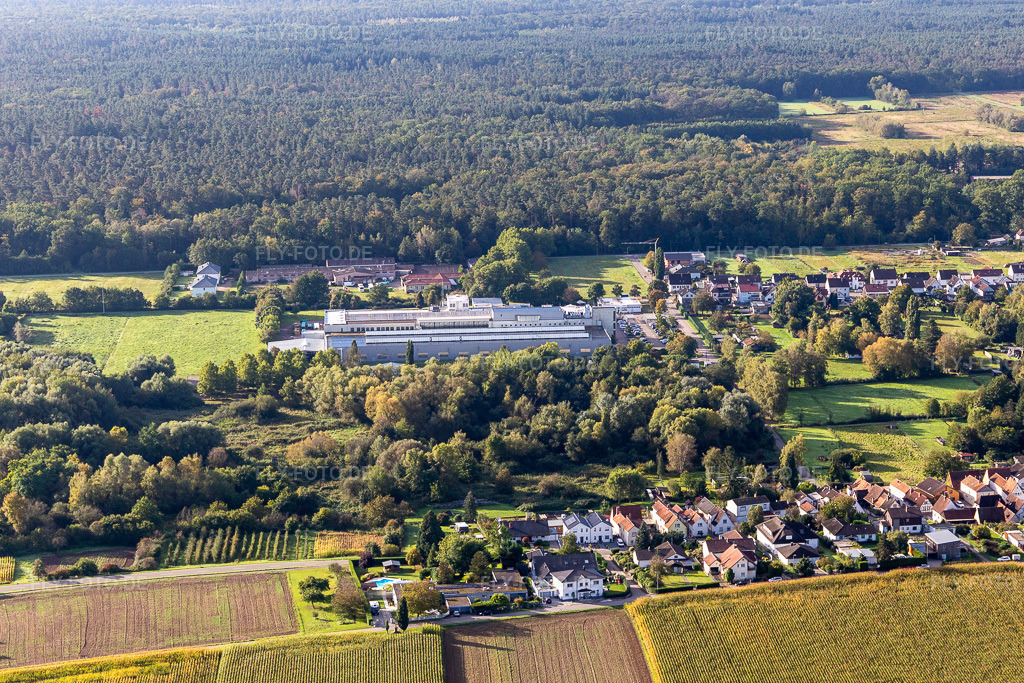 Luftbild: Webasto Mechatronics im Ortsteil Schaidt in Wörth im Bundesland Rheinland-Pfalz in Deutschland. Foto: IMG_129720.jpg vom 30.09.2021 durch Werner Riehm/FLY-FOTO.de