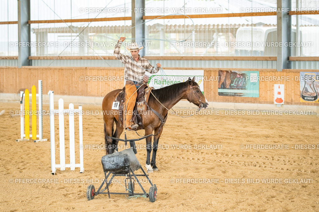 DSC07226 | Pferdegrafie