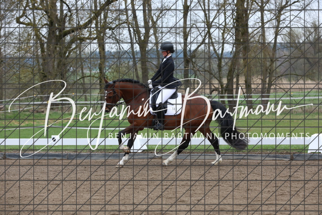 AZ2A4009 | Benjamin Bartmann Photomoments