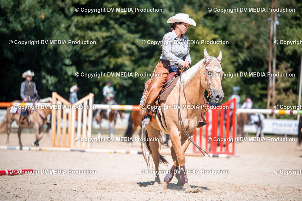 ZS1_1529 | dv-media-shop - Realisiert mit Pictrs.com