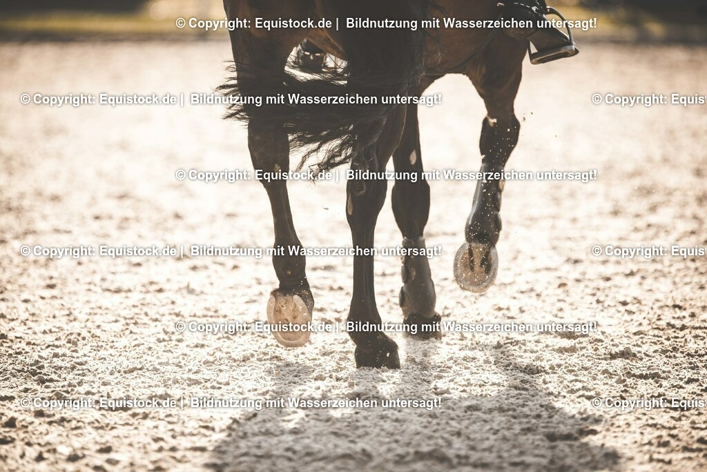 TS_20170326_Pferdef____e_Sand_0001 | Foto: Thomas Hartig