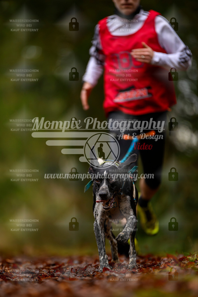 MompixPhotography_2SSTSSBW_2025_SO_Canicross-56 | PayLife