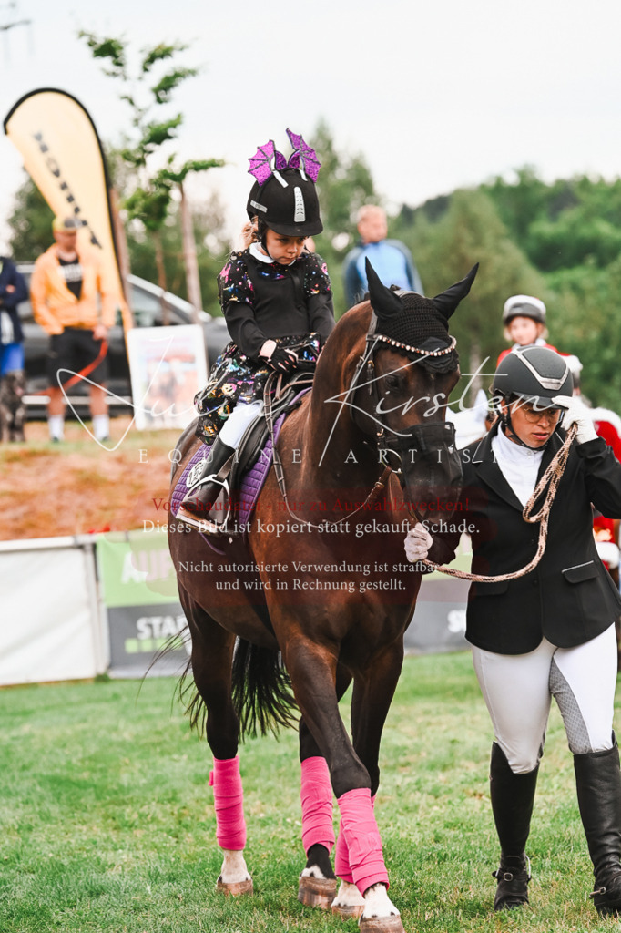DSC_7612 | Pferde- und Turnierfotografie in Westsachsen. Pferdeportraits, Auftragszeichnungen und intuitive Kunst.