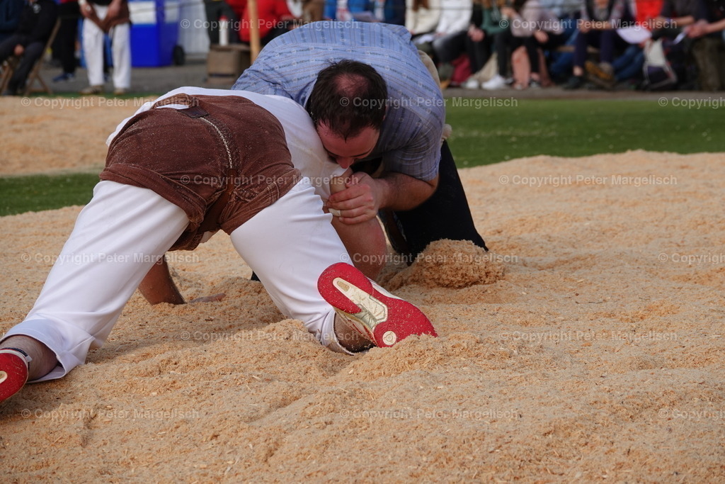 DSC03585 | Schwingen - Realisiert mit Pictrs.com