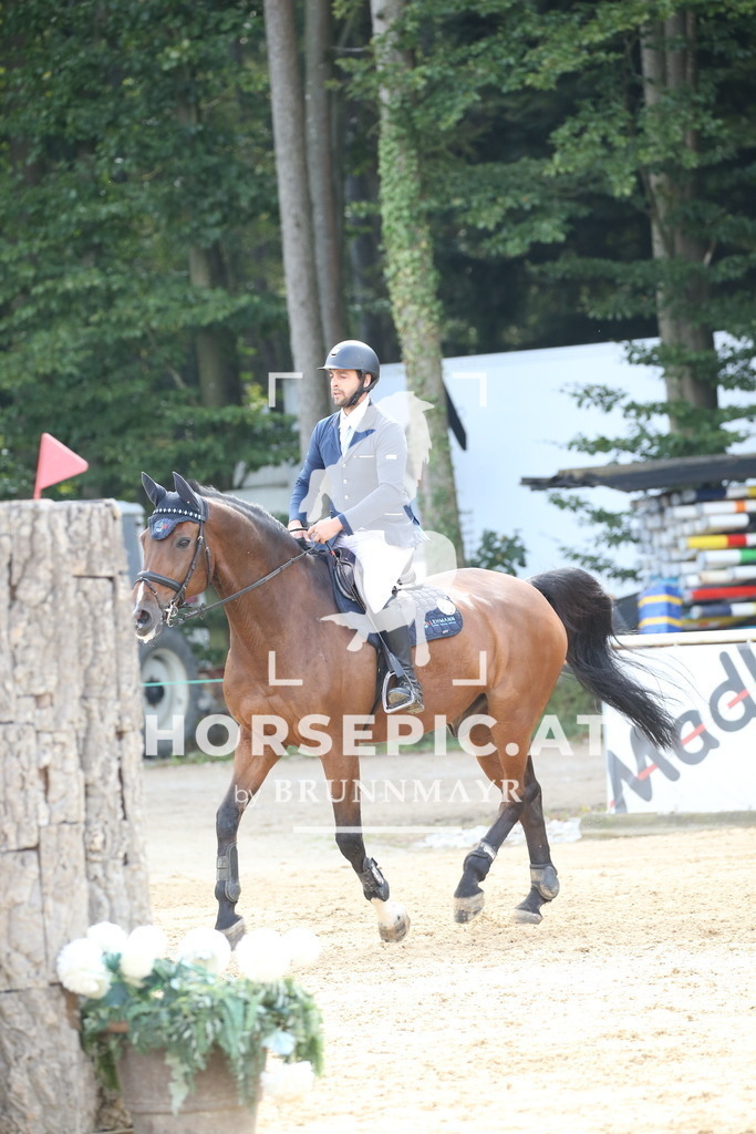 DL2Q4840 | Willkommen bei Brunnmayr - Design & Fotografie – Ihrem Spezialisten für Reitturniere und Pferdeveranstaltungen in Oberösterreich, Salzburg und Bayern! Seit über 17 Jahren sind wir leidenschaftlich dabei.