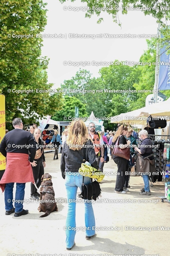 20250608_Impressionen_0290 | Foto: Thomas Hartig