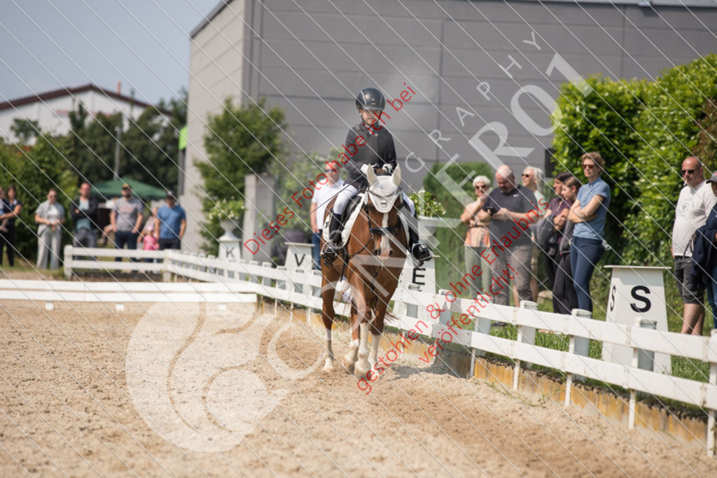 IMG_3348 | Sport-, Event- und Tierfotos in Profiqualität. Einfach auswählen, bestellen und herunterladen. Dein Moment – perfekt festgehalten.