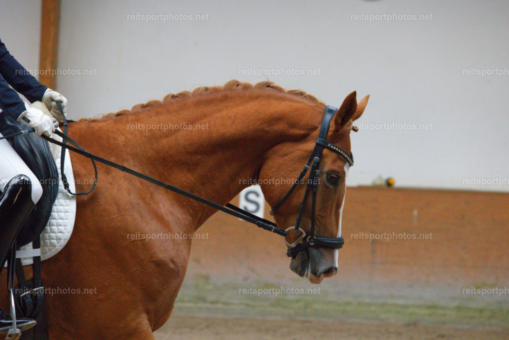 JHE_0381_DxO | Joachim Heinrich Fotografie - Realisiert mit Pictrs.com