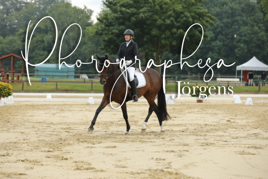 IMG_5313 | photographesa-joergens - Realisiert mit Pictrs.com