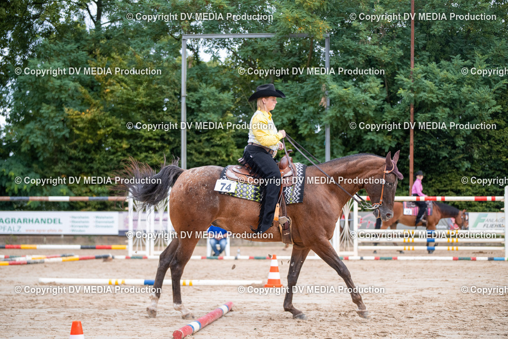 ZS3_4700 | dv-media-shop - Realisiert mit Pictrs.com