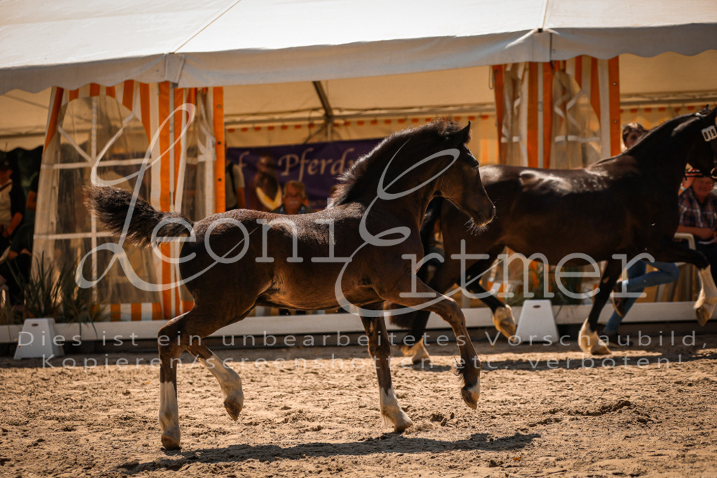 04.DoWP00094 | Leoni Ertmer Photography - Realisiert mit Pictrs.com