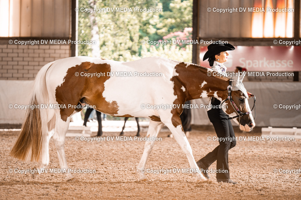 ZH200250 | dv-media-shop - Realisiert mit Pictrs.com