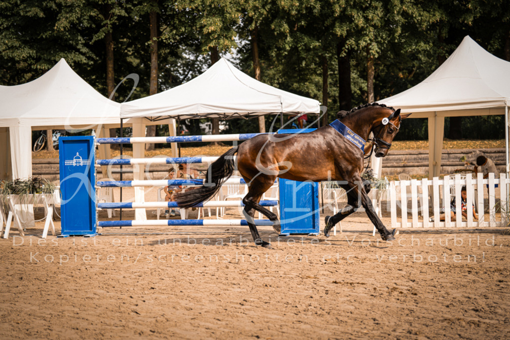 FrER00234 | Leoni Ertmer Photography - Realisiert mit Pictrs.com