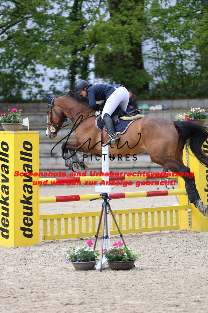 A40A2190 | lmwpictures - Realisiert mit Pictrs.com