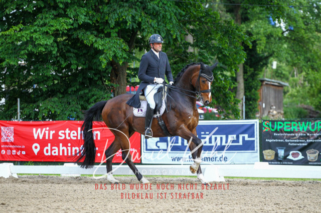 DKP41770 | Turnierfotos kaufen im Webshop von Daniel Kuhl Photography – entdecke professionelle Reitsportfotos aus Turnieren & Events. Hochwertige Turnierbilder online bestellen & sichern. Jetzt Fotos von Reitsportturnieren kaufen!