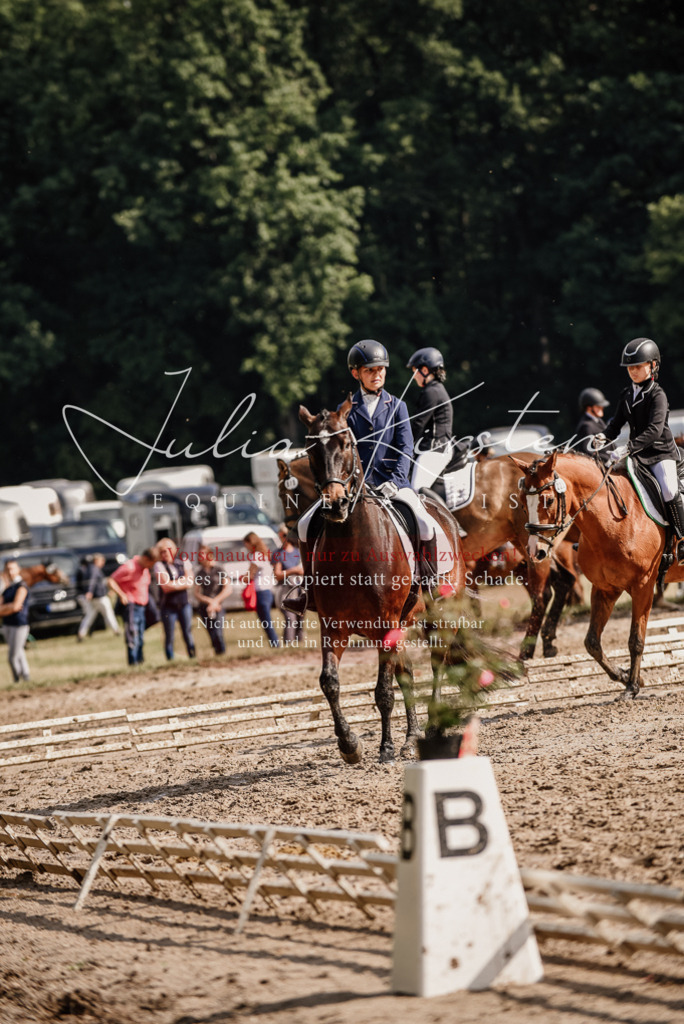 DSC_9170 | Pferde- und Turnierfotografie in Westsachsen. Pferdeportraits, Auftragszeichnungen und intuitive Kunst.