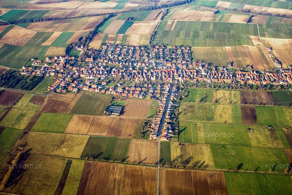 Luftbild: Dorfansicht von Süden in Freckenfeld im Bundesland Rheinland-Pfalz in Deutschland. Foto: IMG_5142.jpg vom 29.12.2006 durch Werner Riehm/FLY-FOTO.de