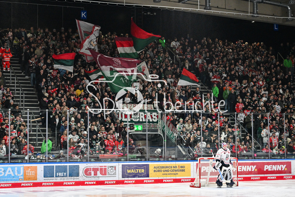 Augsburger Panther - Nürnberg Ice Tigers | AUGSBURG, GERMANY - 28. NOVEMBER: im Bild die Fans der Augsburger Panther beim Ligaspiel zwischen den Augsburger Panthern und den Nürnberg Ice Tigers am 23. Spieltag der Penny DEL im Curt Frenzel Stadion