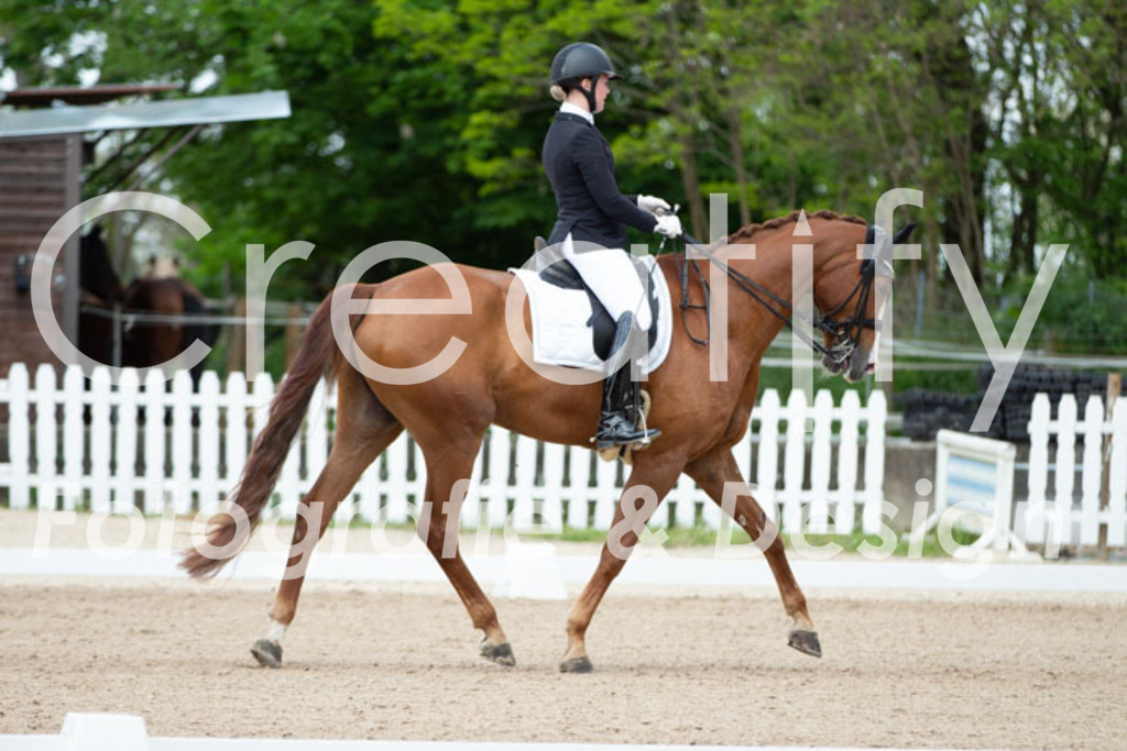 IMG_6247 | Creatify Fotografie