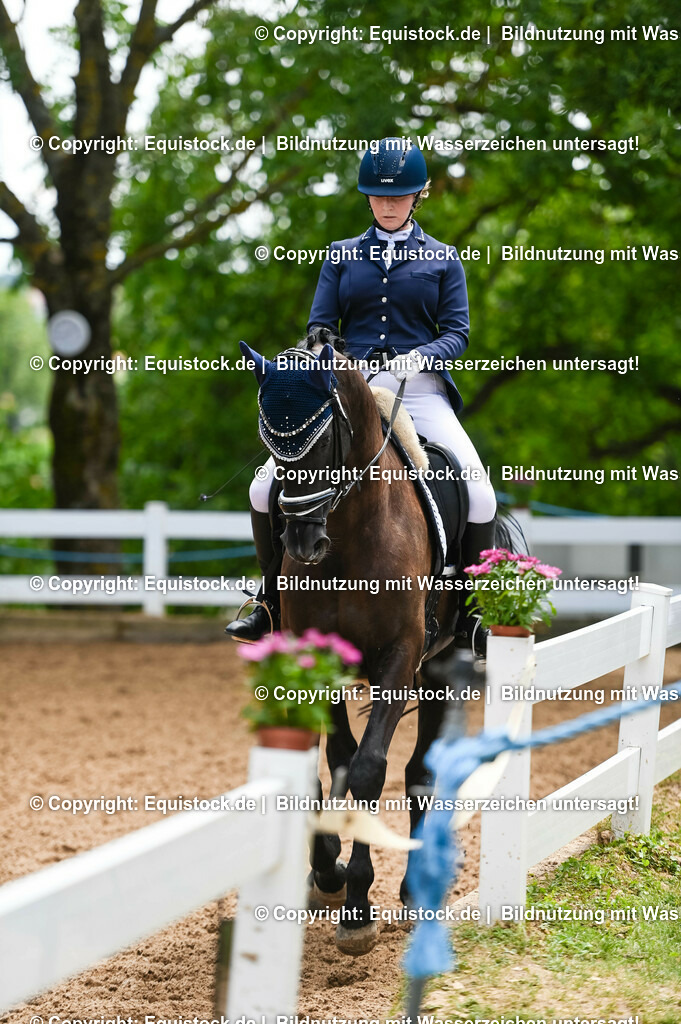 20230716_03_Dressurprfg. Kl.L - Tr._0623 | equistock