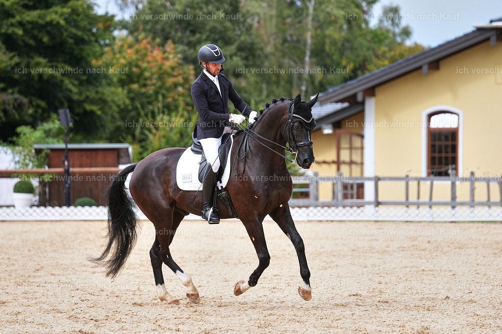 04_1-045-Dressur M__ -Marixx-2753 | working equitationturnier fotograf videograf stoibphotography marixx film working equitation deutschland reitsport turnierfotografie eventfotografie equestrian events