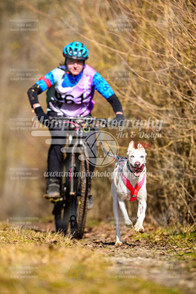 MompixPhotography_Schwabentrail2025_SO_Bike-84 | PayLife