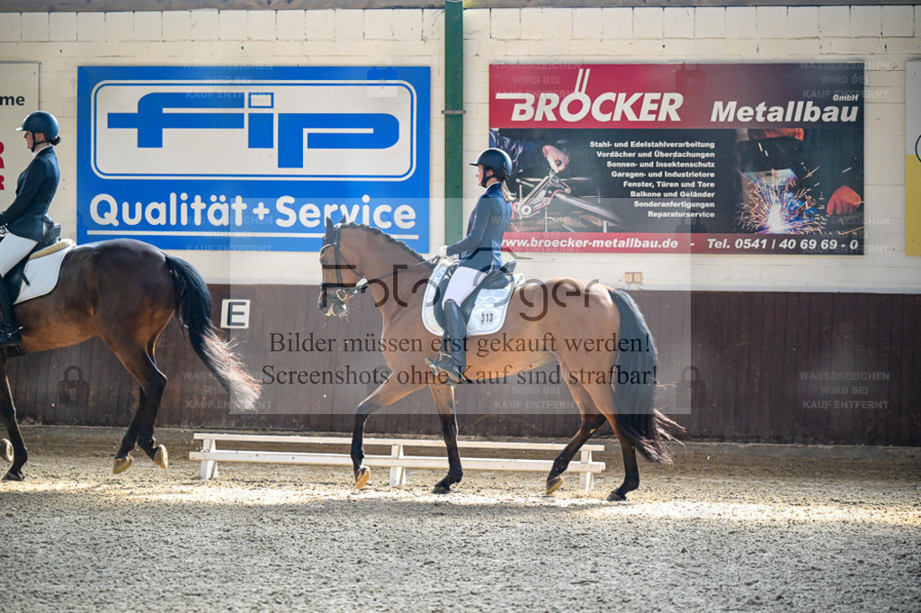 Reitturnier Voxtrup | Entdecke hochwertige Reitturnierfotos von Foto Oger. Professionell, emotional und authentisch – jetzt Lieblingsmomente im Shop bestellen. - Realisiert mit Pictrs.com
