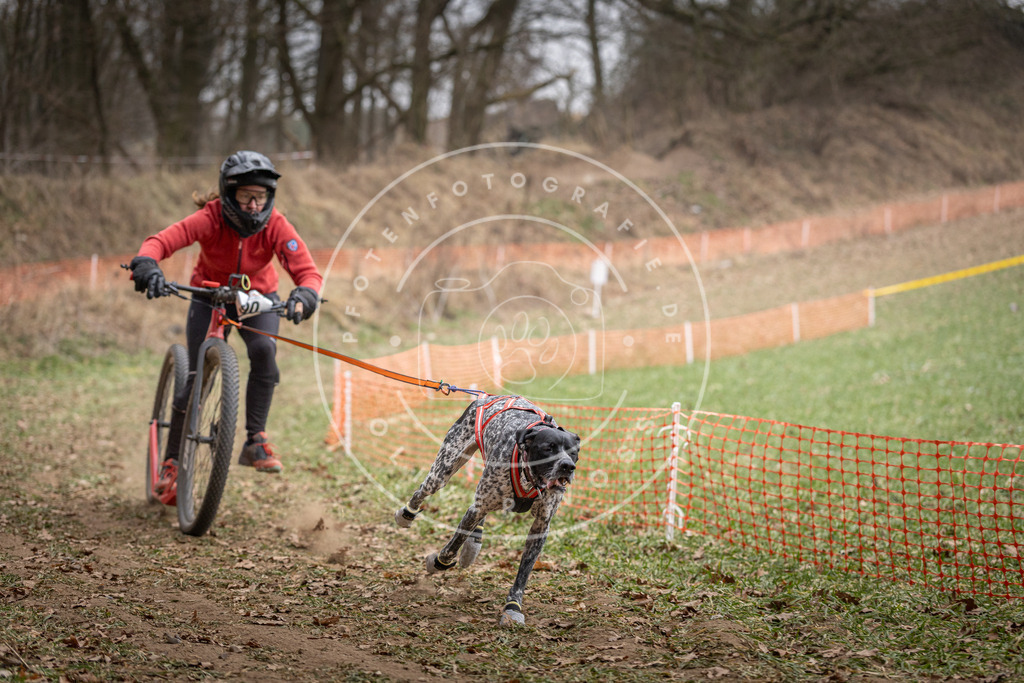 Pfotenfotografie_DV3A6697 | Hundefotografie, Tierfotograf, Pfotenfotografie, Fotoshooting Hund, Hunde Portrait, Hundesport, Hundeportraits, Heideshooting, Hunde, Sportfotograf, Hundefotograf, Turnierhundsport, THS,  - Realisiert mit Pictrs.com