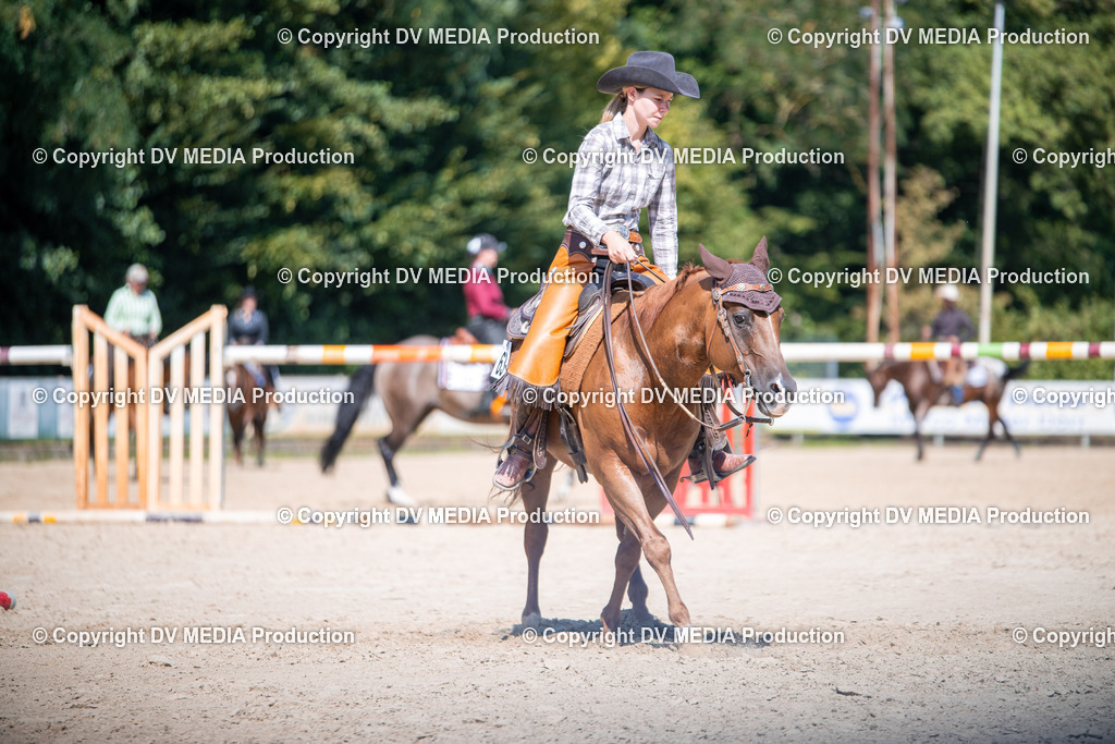 ZS1_1596 | dv-media-shop - Realisiert mit Pictrs.com