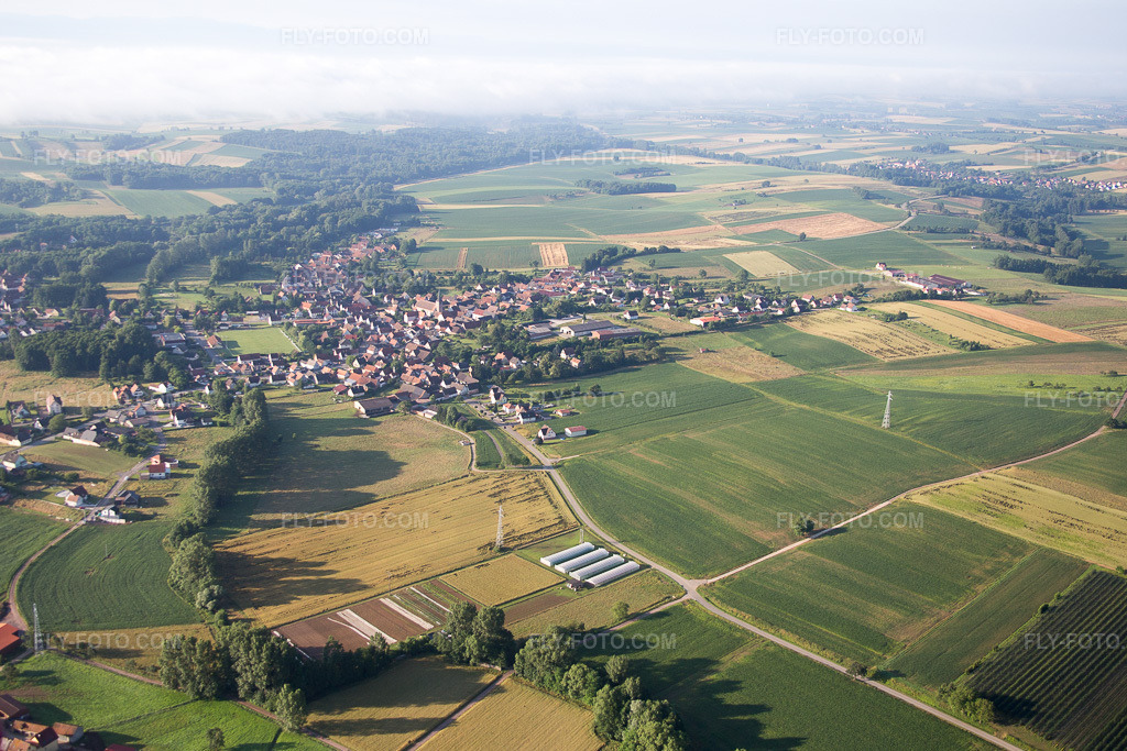 Aerial view: View of the town in Steinseltz in the state Bas-Rhin, France.Photo: IMG_089954.jpg taken on 06/26/2016 by Werner Riehm/FLY-FOTO.comResolution of the original: 5077 x 3384 px