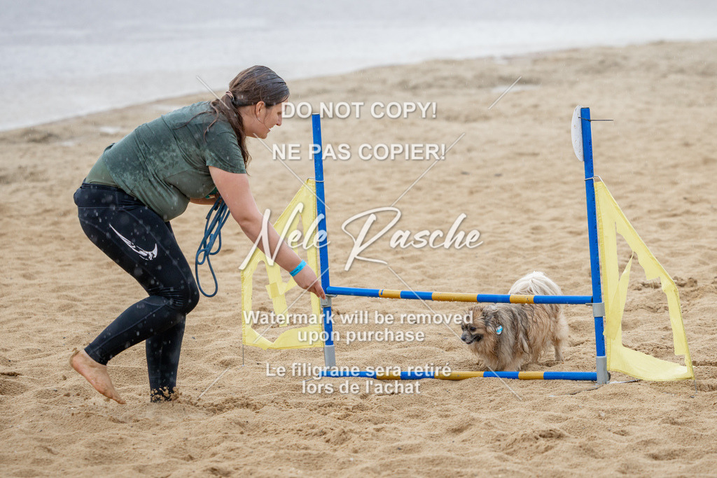 nelerasche_BuHu2026_So1430-1530_50 | nelerasche