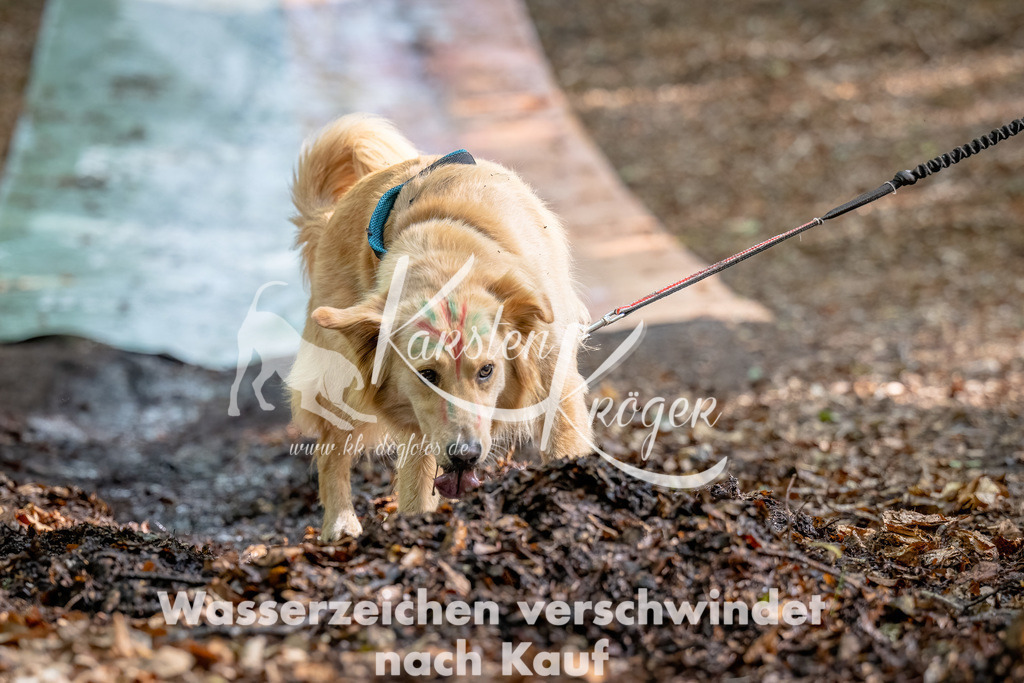 1225_ZZ94849-Bearbeitet | kk-dogfotos