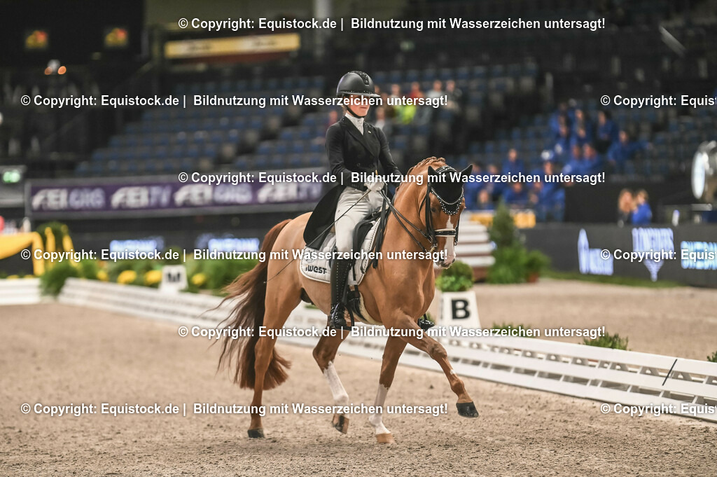 20231115_20_Dressur_Kl-S++_0548_TOMsPiC | Foto: Thomas Hartig