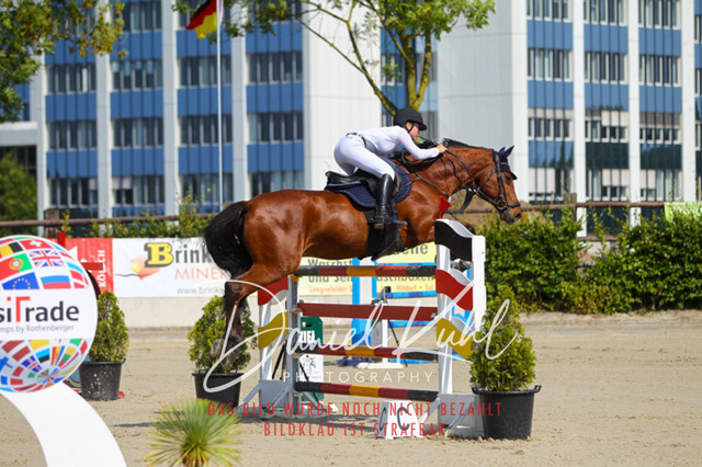 Gut Blee25_Zwei Phasen Springprfg S_0025 | Turniersportfotografie; Pferdefotografie; Dressurfotografie