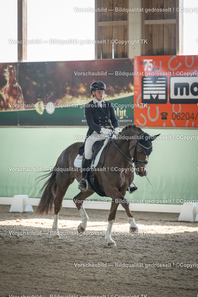 _D5A9372 | Emotionale Pferde- & People-Fotografie rund um Heidelberg, Leimen & Umgebung. Natürliche Fotos von Pferd, Mensch & Familie. Jetzt Termin sichern!