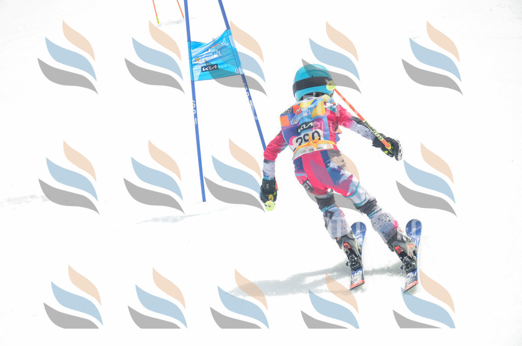 _ELE8095 | holidayphoto