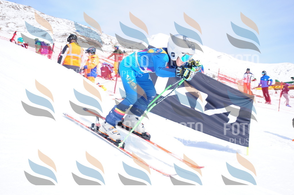 DSC_3221 | holidayphoto