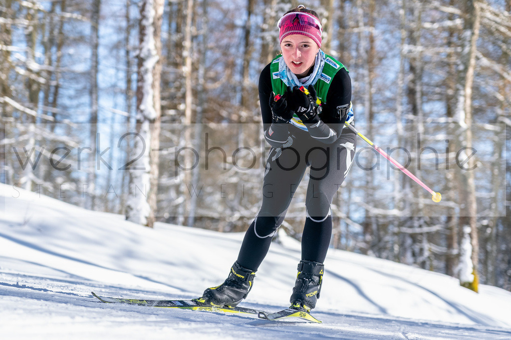 DSC Altenberg | Deutscher Schülercup in Altenberg vom 11. bis zum 13. Februar 2022