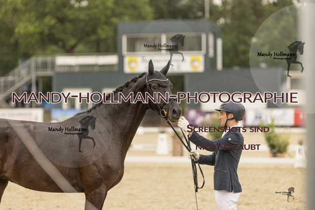 SW 4-706 | mandyhollmannphotographie