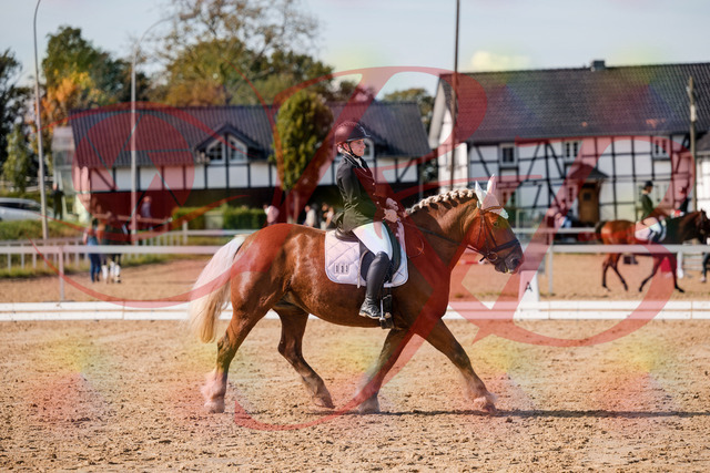 2026_10_03_Siefer-Hof_130440_Z63_67588958 | Professionelle Reitsport-, Turnier- und Eventfotografie von Robert Broda. Galerien mit ausgewählten und bearbeiteten Bildern direkt online ansehen und bestellen.
