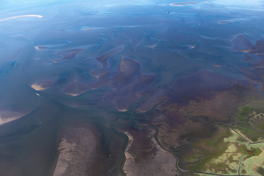 dr__0202388.jpg | FRIEDRICHSKOOG 06.09.2023 Salzwiesen mit brauner Vegetation im Nationalpark Wattenmeer der Nordsee in Friedrichskoog im Bundesland Schleswig-Holstein. Priele durchziehen das Deichvorland südwestlich der Ortschaft Friedrichskoog. 