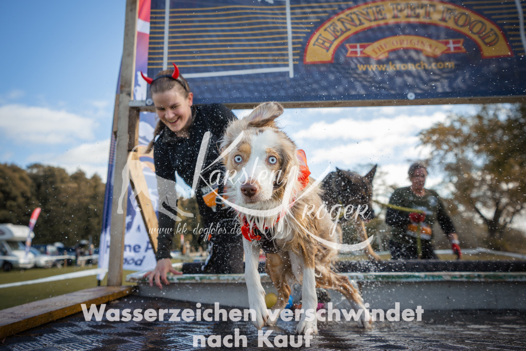 1308_ZZ99378-2 | kk-dogfotos