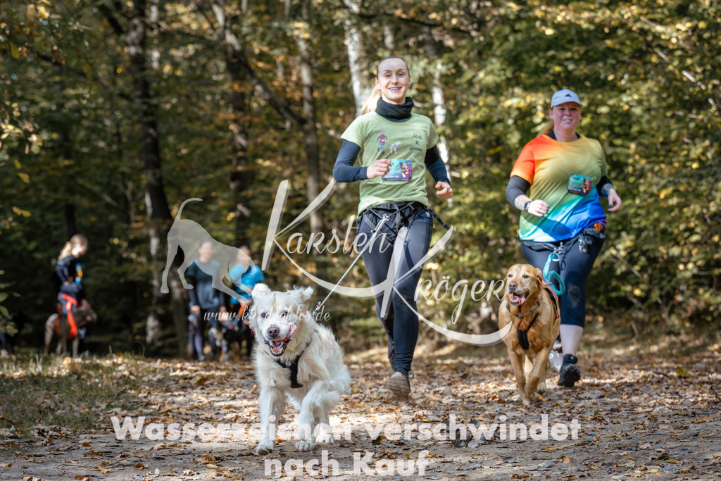 1254_ZZ96554 | kk-dogfotos