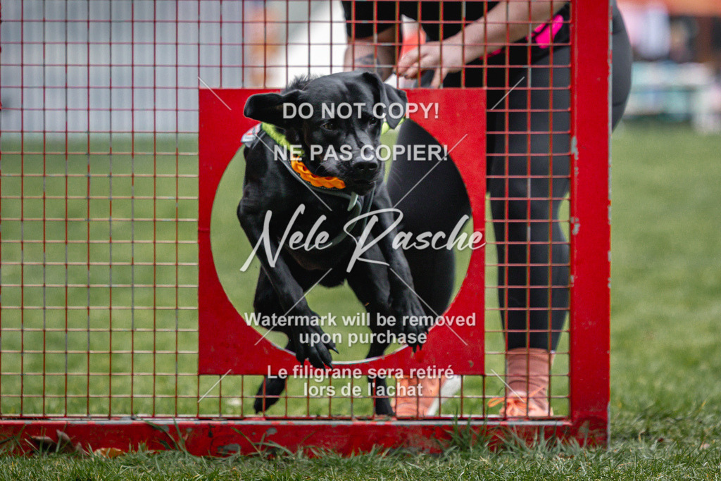 nelerasche_Hulsbeek_Sa0845-1030_36 | nelerasche