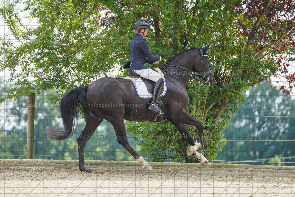 20230826-FAH05838 | Forstinning, 2023, Dressurturnier, Turniersportbilder, Turnierfotografen Bayern, Fotoagentur Herrmann, Reitsportfotografie, Turnierbilder