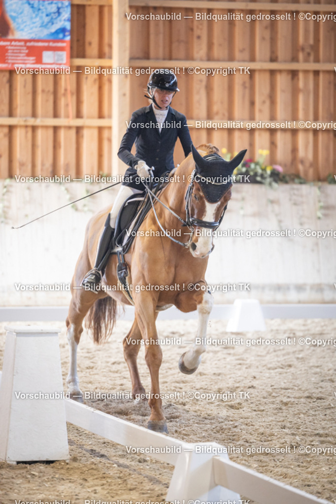 _D5A1806 | Emotionale Pferde- & People-Fotografie rund um Heidelberg, Leimen & Umgebung. Natürliche Fotos von Pferd, Mensch & Familie. Jetzt Termin sichern!