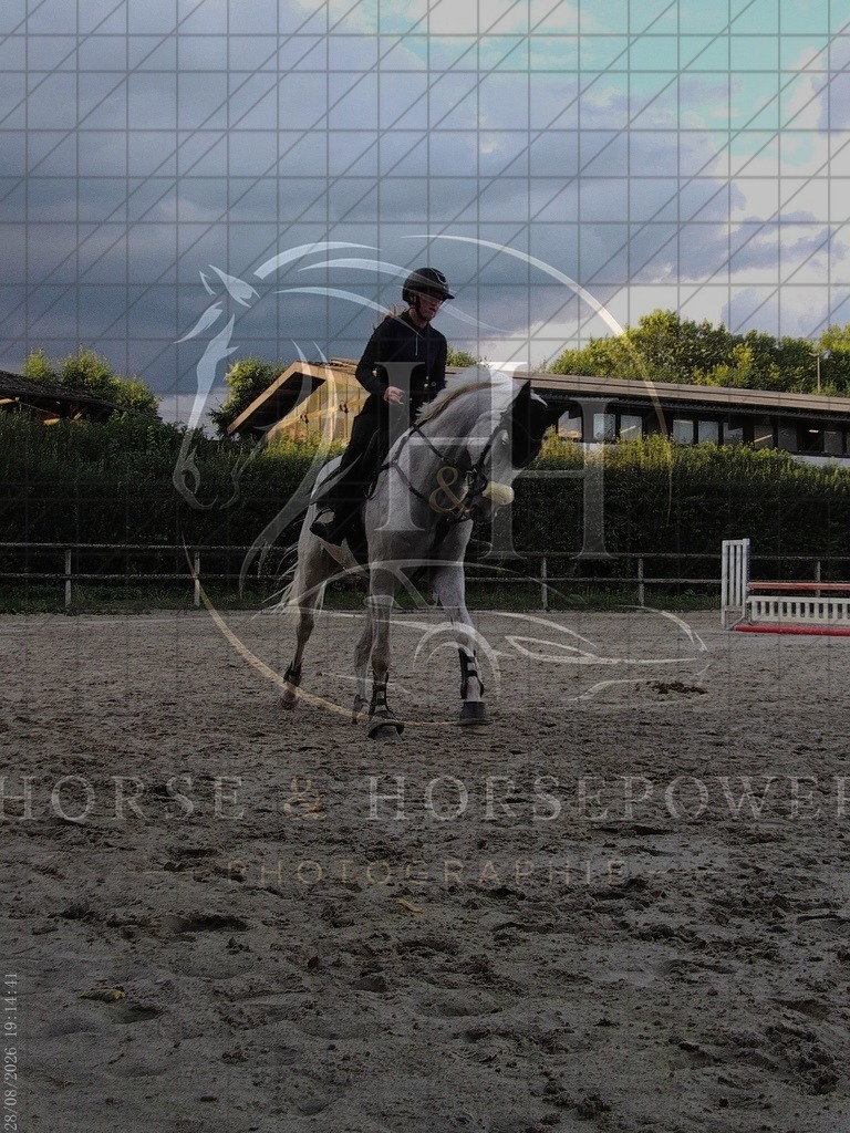 1787944482___C1010449 | handhphotographie - Realisiert mit Pictrs.com