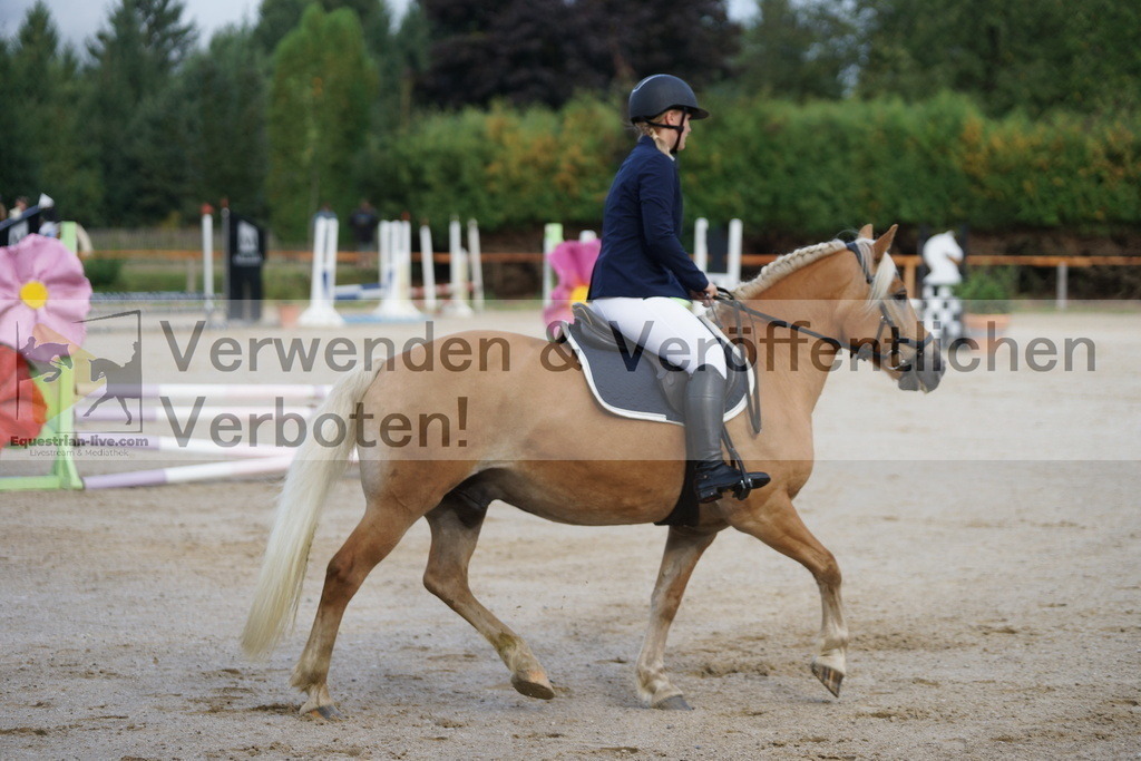 DSC05825 | equestrian-live-com